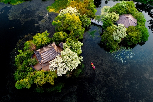 밀양8경의 하나인 밀양시 부북면 위양 연못은 5월이면 완재정과 눈처럼 흰 이팝꽃이 눈부신 햇살과 어울려 절경을 이룬다. (사진=밀양시)copyright 데일리중앙